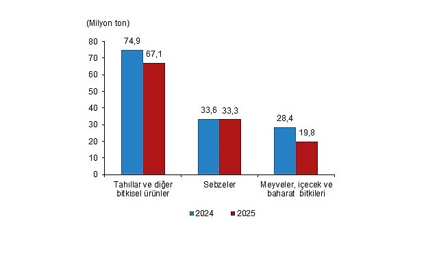 Bitkisel Üretim 2.Tahmini, 2025