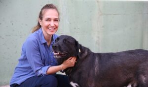 1 yılda 40 bin can dosta şefkat eli uzandı