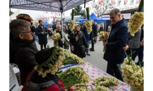 8. Karaburun Nergis Festivali başladı