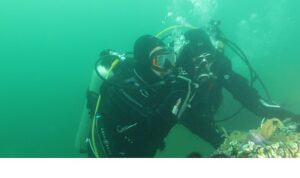 Büyükakın: “Dipten diriliş  tüm Marmara’ya yayılıyor”