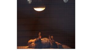 Büyükşehir Doğal Yaşam Parkı’nda kış tedbirleri