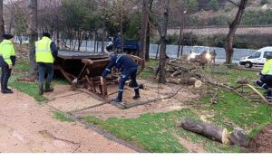 Büyükşehir, şiddetli lodosa karşı teyakkuzda