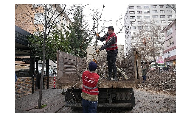 Keçiören’de Budama Çalışmasıyla Yeşil Örtü Korunuyor