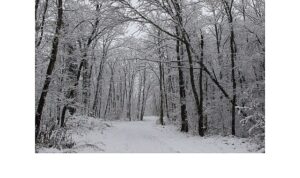 Ormanya’da kartpostallık kış manzaraları