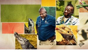 12 Bölümden Oluşan ‘Veteriner Dostlar’ın 5. Sezonu,   9 Şubat Pazartesi Saat 20.00’de   National Geographic WILD Ekranlarında Başlıyor!