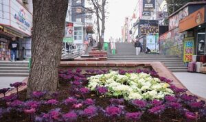 Çansera’dan Kent Merkezine Kış Renkleri