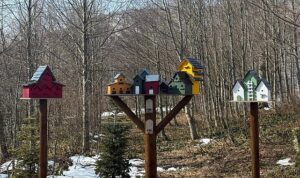 Bayramda kapınız doğaya açılsın