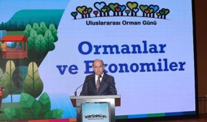 Ormanların Ekonomik Gücüne Dikkat Çekildi