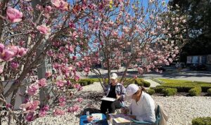 Turistler Kemer’de manolyaları resmediyor
