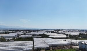 ASAT’tan Serik’e içme suyu yatırımı