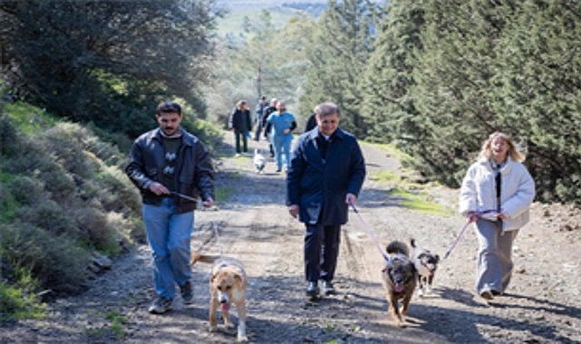 Barınaklardan 3 binin üzerinde hayvan sahiplendirildi