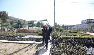 Karşıyaka Belediyesi üretiyor, parklar çiçek açıyor