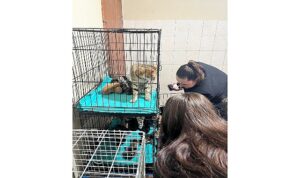 Patili dostlara anlamlı destek