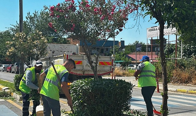 Tepecik Mahallesi Muhtarından Başkan Çerçioğlu’na Hizmet Teşekkürü
